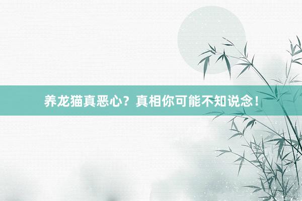 养龙猫真恶心？真相你可能不知说念！